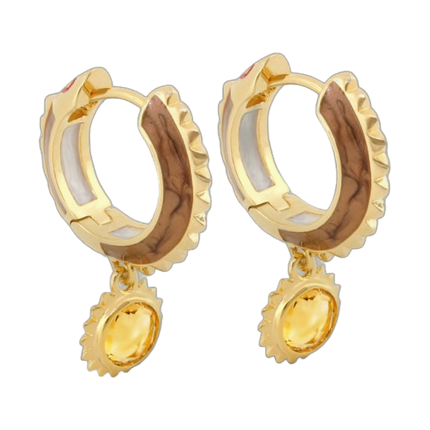 Cool Rider Earrings