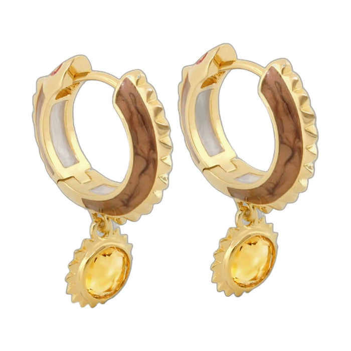 Cool Rider Earrings