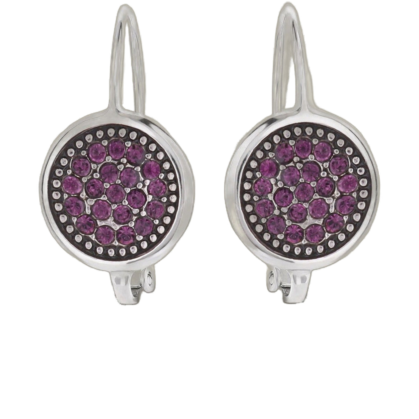 February Birthstone Color Earrings