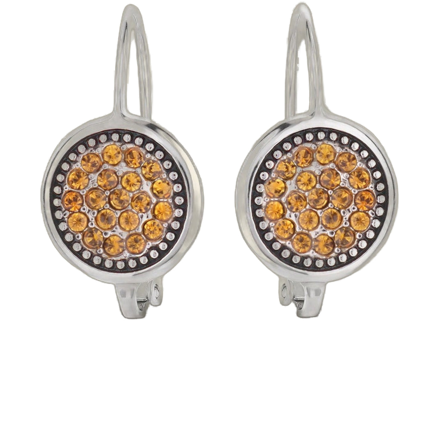November Birthstone Color Earrings