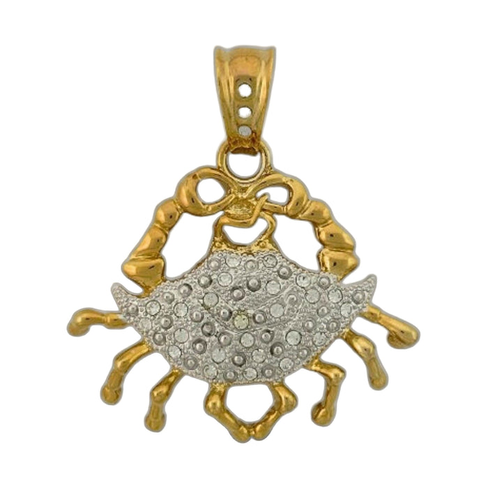 Pendants Charm