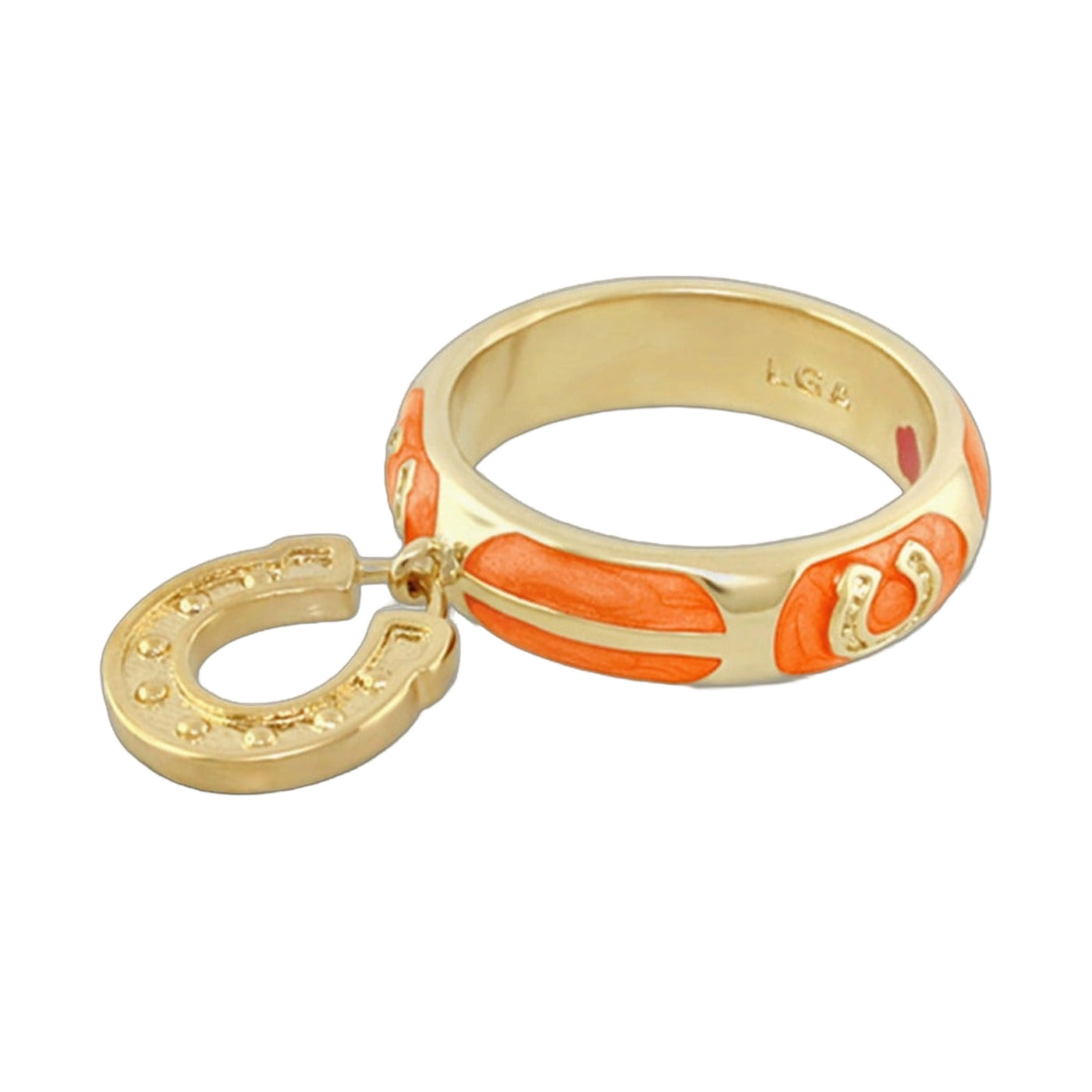 Horseshoe Equestrian Ring