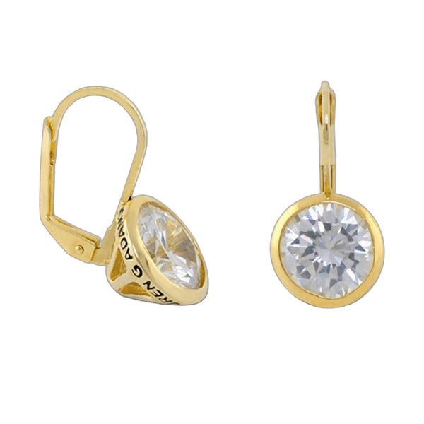 Dazzling Drop Earrings