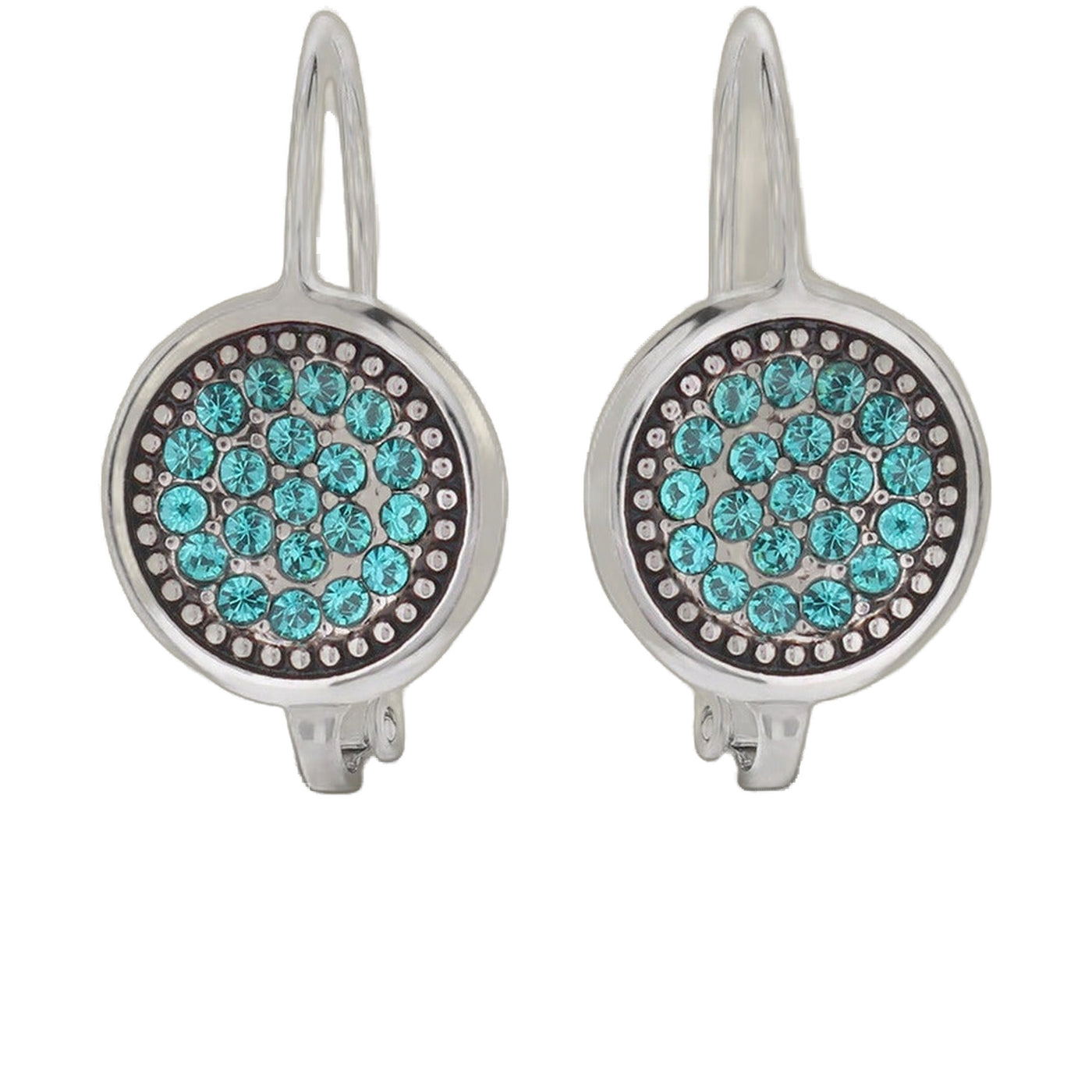 December Birthstone Color Earrings