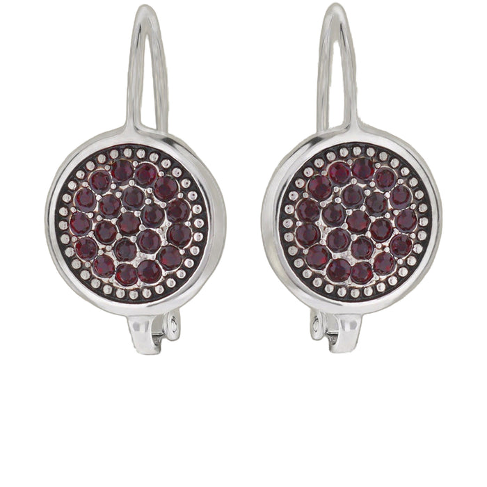 January Birthstone Color Earrings