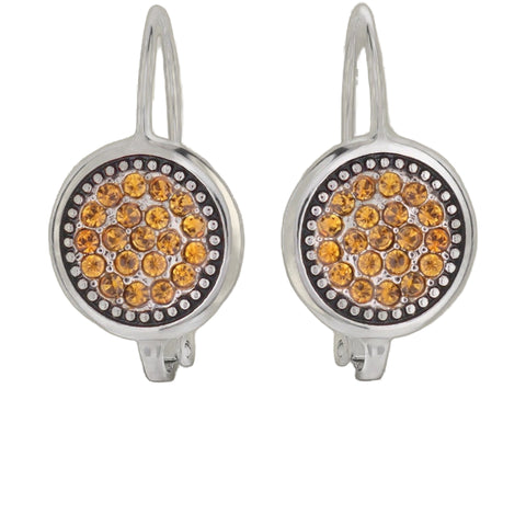 November Birthstone Color Earrings