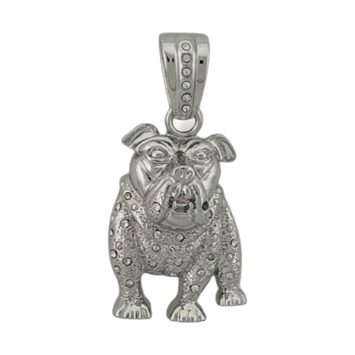Pendants Charm